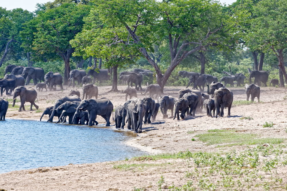Nambwa Tented Lodge Kongola Ngoại thất bức ảnh