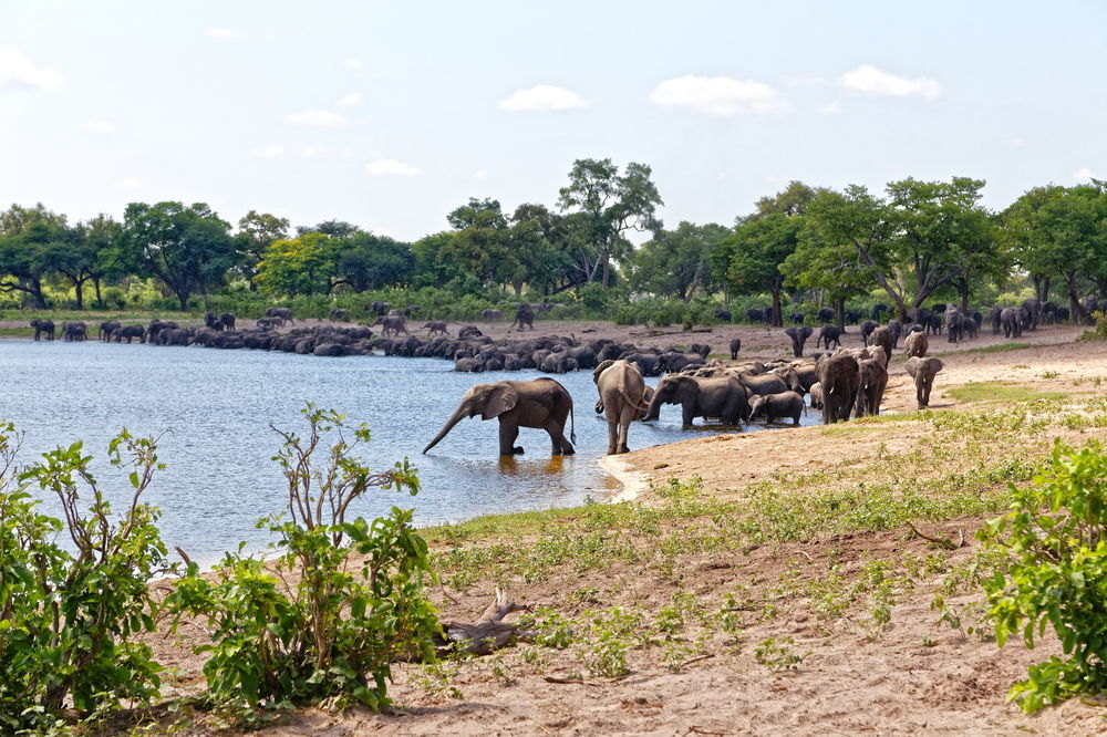 Nambwa Tented Lodge Kongola Ngoại thất bức ảnh