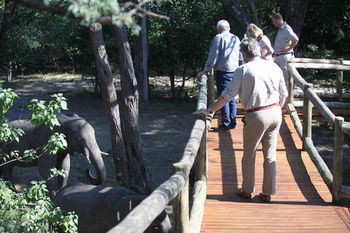 Nambwa Tented Lodge Kongola Ngoại thất bức ảnh